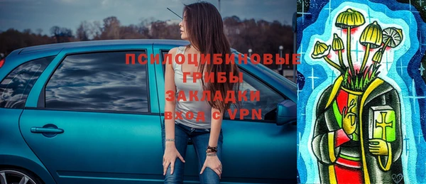 гидра Абаза